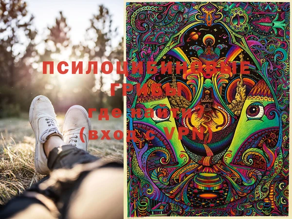 сатива Мегион