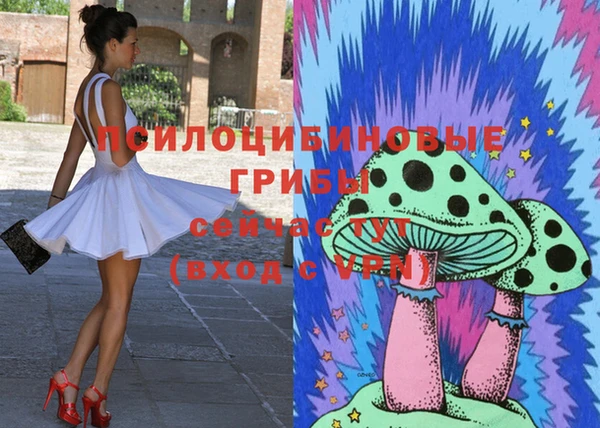 сатива Мегион