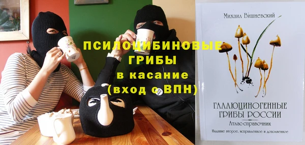 сатива Мегион