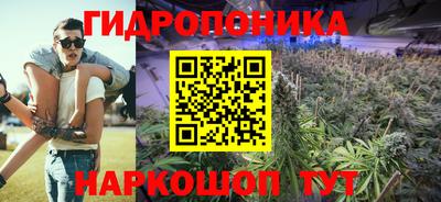 ГАЛЛЮЦИНОГЕННЫЕ ГРИБЫ Гусь-Хрустальный