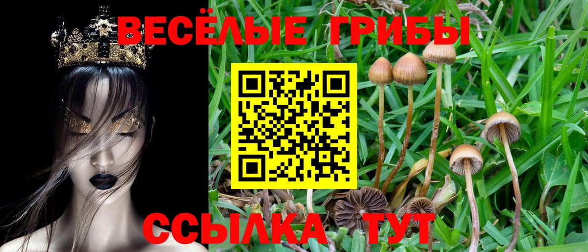 Галлюциногенные грибы ЛСД Троицк