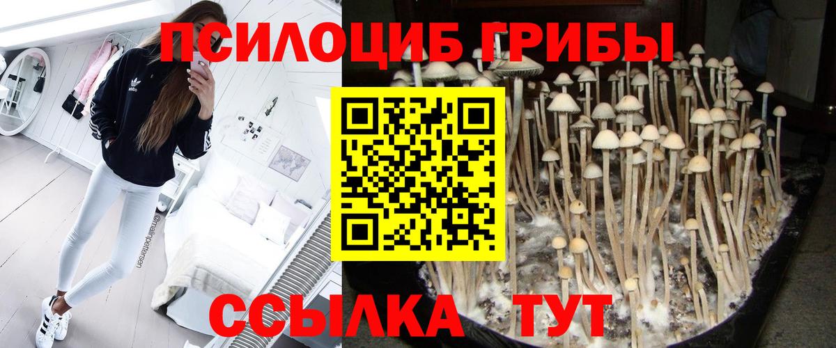 Троицк  Галлюциногенные грибы Psilocybe  Вход с VPN 